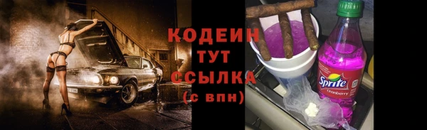 прущие грибы Абинск