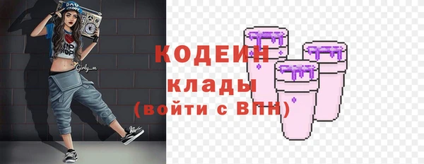 прущие грибы Абинск