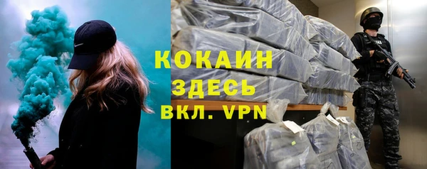 твердый Аркадак