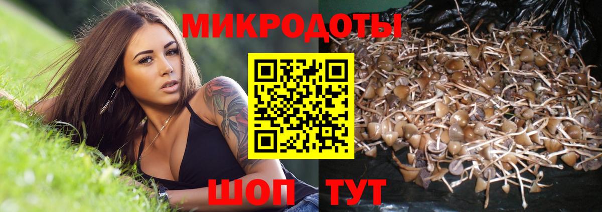 Псилоцибиновые грибы GOLDEN TEACHER  Вход с VPN  Таганрог 