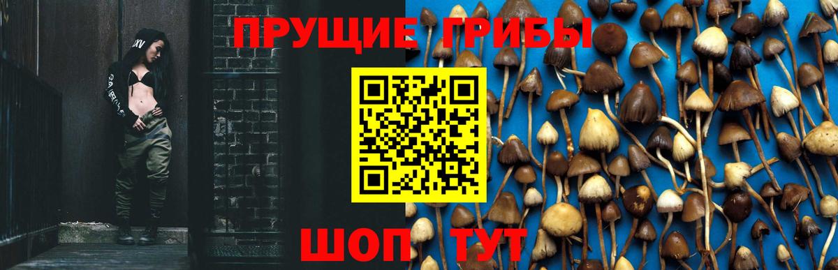 Галлюциногенные грибы мухоморы Таганрог
